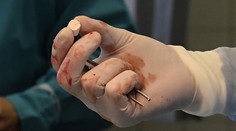 Košickí vedci vyvinuli unikátny biomateriál