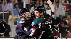 Coyotes našli nový domov. Komisár NHL poďakoval a vyjadril podporu bývalému majiteľovi klubu