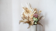 Populárne sušené kvety: Poradíme vám, ako sa máte o ne starať a vysušiť si ich aj doma