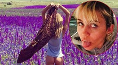 Chlapi jej budú závidieť. Miley Cyrus zbalila túto sexicu!