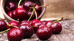 Tešte sa, dozrievajú čerešňe. Okrem tradičnej bublaniny skúste francúzsky clafoutis