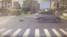 VIDEO: Kruté zaobchádzanie so živým tvorom. Žena ťahala za autom bezbranného psa