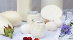 Podľa najnovšej štúdie by sme nemali vynechať z jedálnička mliečne výrobky