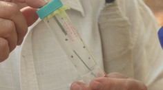 Niekde prežili aj horúčavy. Odborníci hlásia návrat kliešťov, problém to je aj pre majiteľov psov