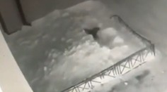 VIDEO: Dievča (6) sa druhýkrát narodilo. Po páde zo štvrtého poschodia prešlo po vlastných