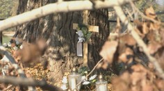 Matka v šoku. Za smrť chlapca z Nitry, ktorého zabil konár stromu, definitívne nik nemôže