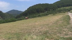 Dotácia na kosenie sa dá dostať a aj na pozemok, ktorý nevlastníte a ani nekosíte