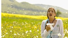 Alergici si od peľu paliny a ambrózie nevydýchnu až do októbra