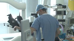 Ide o najčastejší druh rakoviny v Európe. Pripravuje sa plošný skríning karcinómu prostaty