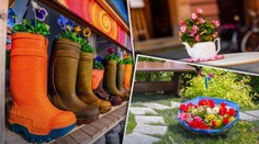 Tipy na originálne kvetináče: Buďte ekologický a ušetrite peniaze