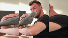 Stratil sa Bobo, vzácny papagáj. Majiteľ po ňom už týždeň pátra. „Mám ho neskutočne rád, chýba mi,“ hovorí a ponúka odmenu