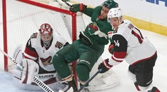 Arizona s Pánikom prehrala v Minnesote