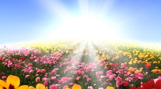 Na Slovensku konečne zavládlo ukážkové slnečné počasie