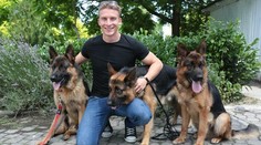 Život na úrovni: Psy z Rexa bývajú vo vlastnej vile