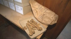 Epidémia, násilná smrť, alebo rituálne obrady. Vedci zisťujú, čo sa stalo ľuďom, ktorých telá našli bez hláv