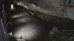 Z Demänovskej ľadovej jaskyne zmizol takmer všetok ľad. Z 1250 kubických ton zostalo už iba desať