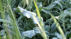 Meteorológovia varujú. Zamrznutí predsa len prídu