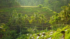 Tragédia na indonézskom ostrove. Pri zosuve pôdy zahynuli dvaja zahraniční turisti