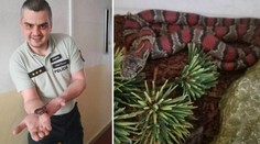 Policajti zachránili hada, Peter sa stal miláčik oddelenia