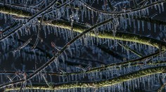 Čakajú nás chladné dni a ešte mrazivejšie noci. Niekde až -23 stupňov