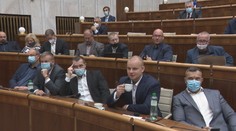 Nevedia si s nimi poradiť. Na kontrolu rúšok v parlamente možno nastúpi stráž