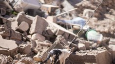 Maroko vyhlásilo po zemetrasení trojdňový štátny smútok