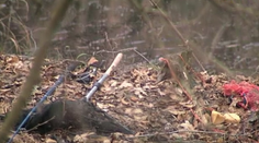 Rybačka sa stala osudnou dôchodcovi z Horše