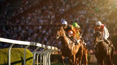 Žil v garáži, osud sa s ním kruto zahral. Bezdomovcovi zmenila život stávka na dostihy