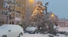 Snehová fujavica na východe: V Prešove vyhlásili stav nebezpečia, v Košiciach kalamitnú situáciu