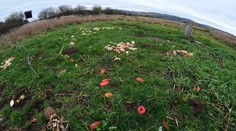 Ak natrafíte v lese na krmivo, môžete skontrolovať, či ide o legálne vnadisko.  Aplikáciu sme v teréne vyskúšali aj my