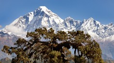 Horolezci zmizli v snehovej víchrici, mŕtvych ich našli až na druhý deň