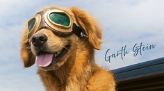 Dámy, vďaka tejto knihe lepšie pochopíte partnerov