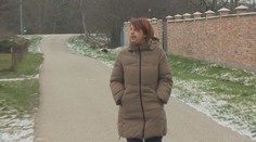 Invalidnej dôchodkyni ukradli psa. Pomáhal jej zlepšiť vážny zdravotný stav