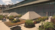 Čo skrýva Stará tržnica? Tajná miestnosť v podzemí a ďalšie miesta, o ktorých ste určite netušili