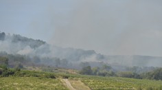 V bratislavských vinohradoch horelo. Evakuovali 20 ľudí