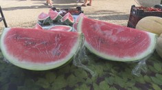 Ak ste si kúpili slovenský melón, zrejme vás oklamali. Krajina pôvodu však nie je to najdôležitejšie