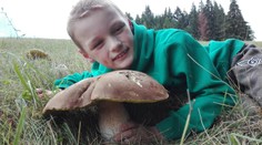 Mykologička ukázala oblasť, kde je najviac húb: Tu máme "zarobené" na dobrú sezónu