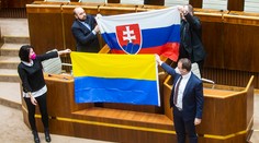 Poriadok v rokovacej sále sa podľa viacerých poslancov už bez silných ramien nedá dosiahnuť