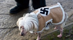 Posadnutý Brit urobil nacistu aj zo svojho psa!