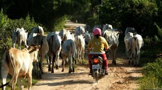 V Kambodži traja muži hromadne znásilnili turistku