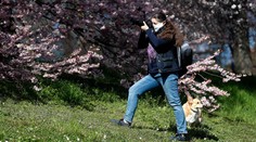 Naši západní susedia idú zrušiť niektoré zákazy pre ľudí a otvoria obchody