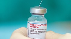 Nemecká očkovacia komisia neodporúča vakcínu Moderny pre mladších ako 30 rokov