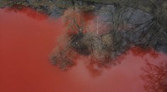 Protestujú proti vojnovým zločinom: Červené jazero aj tisíce ležiacich ľudí pred vládnymi budovami