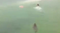 VIDEO: Plávanie o život. Turista len tak-tak unikol krokodílovi