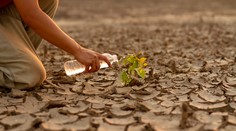 Aká je naša ekologická budúcnosť? Zakročiť sa rozhodli nielen znepokojené matky
