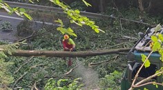 Stínajú stovky stromov. Vodiči sa musia na Donovaloch vyzbrojiť pevnými nervami aj časovou rezervou