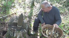 Hubár našiel v lese pri Soroške delostreleckú mínu. Trčala z pňa spíleného stromu