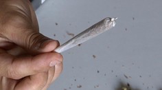 Žitnaňská pripravuje kontroverznú zmenu. Za marihuanu by sa nemuselo končiť rovno v base