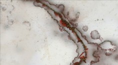 Objav, ktorý prepíše učebnice. Život vznikol na Zemi skôr, ako sme si mysleli