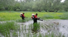 Bratislava sa pripravuje na boj s komármi. Tento rok budú pomáhať aj drony